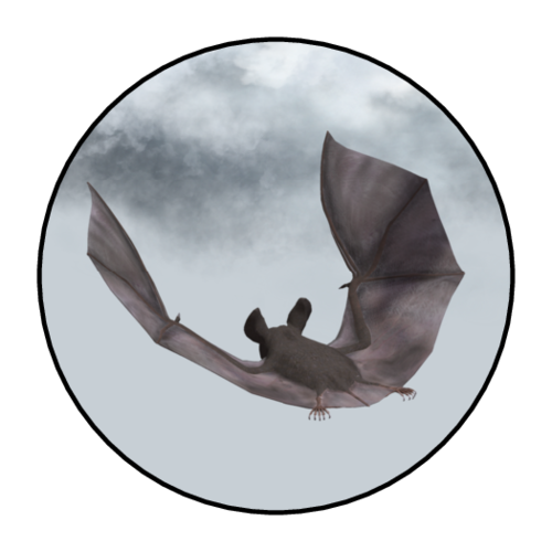 Spooky Bats Halloween Envelope Seal Label