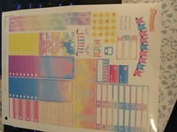 Always amazing service