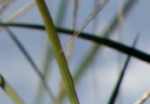 Great Products & Service!