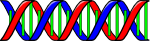 Double Helix (DNA)