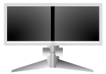 doublesight dual monitor
