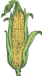 ear of corn - colored