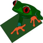 red-eyed frog