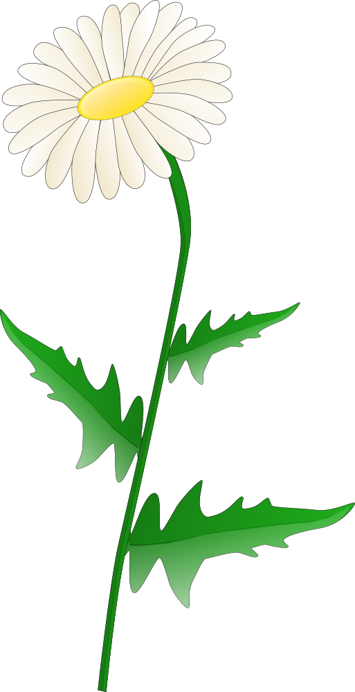 OnlineLabels Clip Art - Daisy