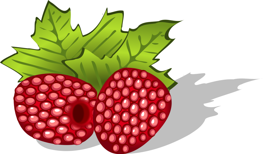 Download OnlineLabels Clip Art - raspberries, avietes, berries ...