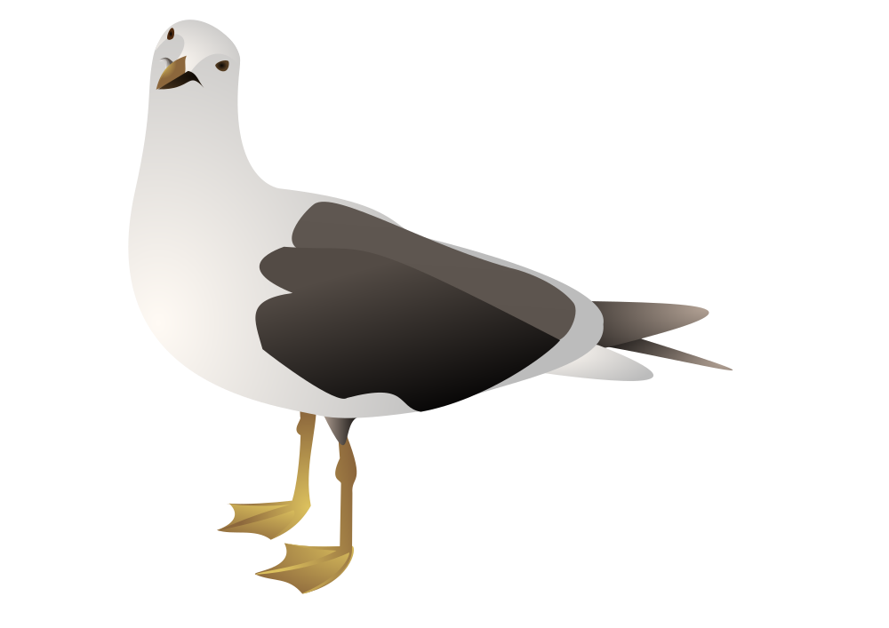 OnlineLabels Clip Art - Seagull