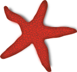 red starfish