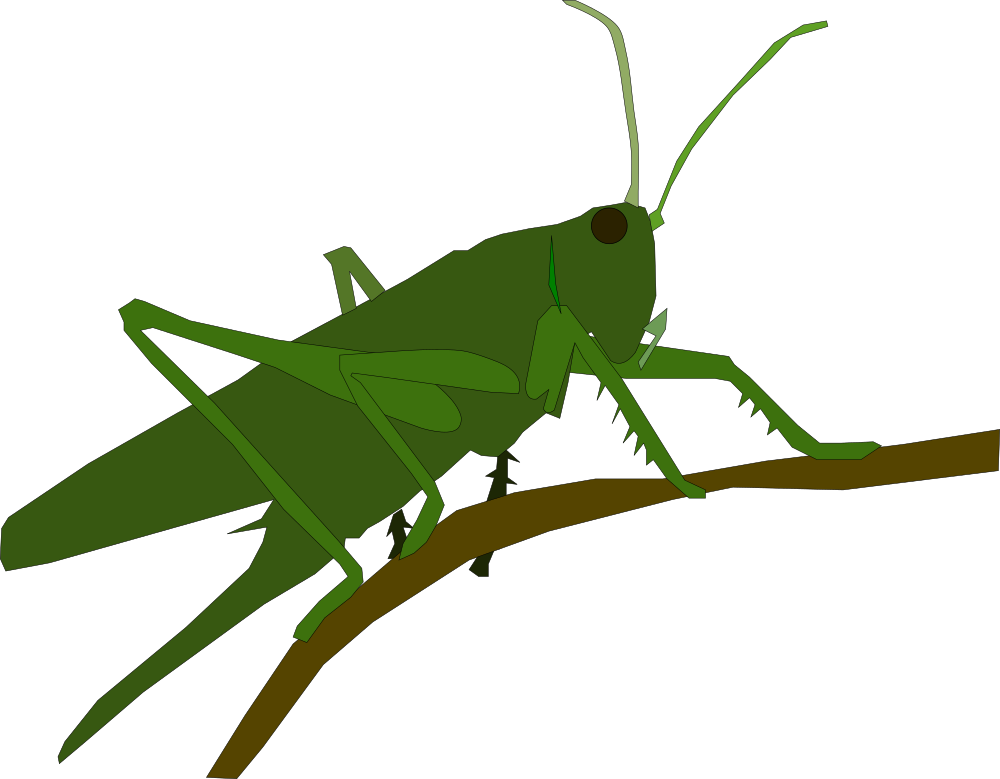 OnlineLabels Clip Art Grasshopper onlinelabels-clip-art-grasshopper
