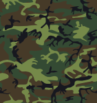 Camouflage  Army Print