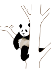 giant_panda_2
