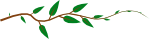 Alternate Leaf