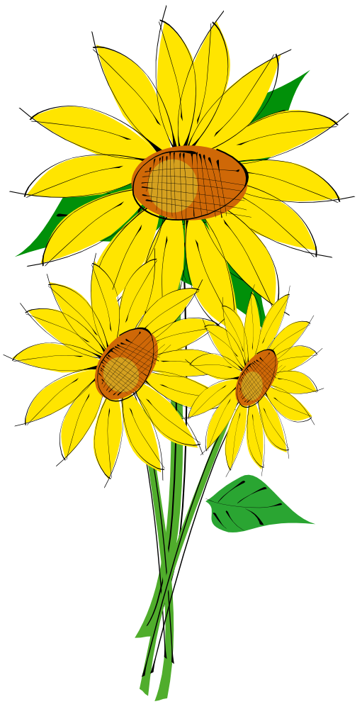 Onlinelabels Clip Art - Helianthus