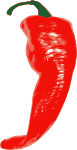 Cayenne red chili pepper