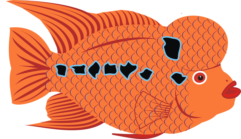 OnlineLabels Clip Art - Goldfish