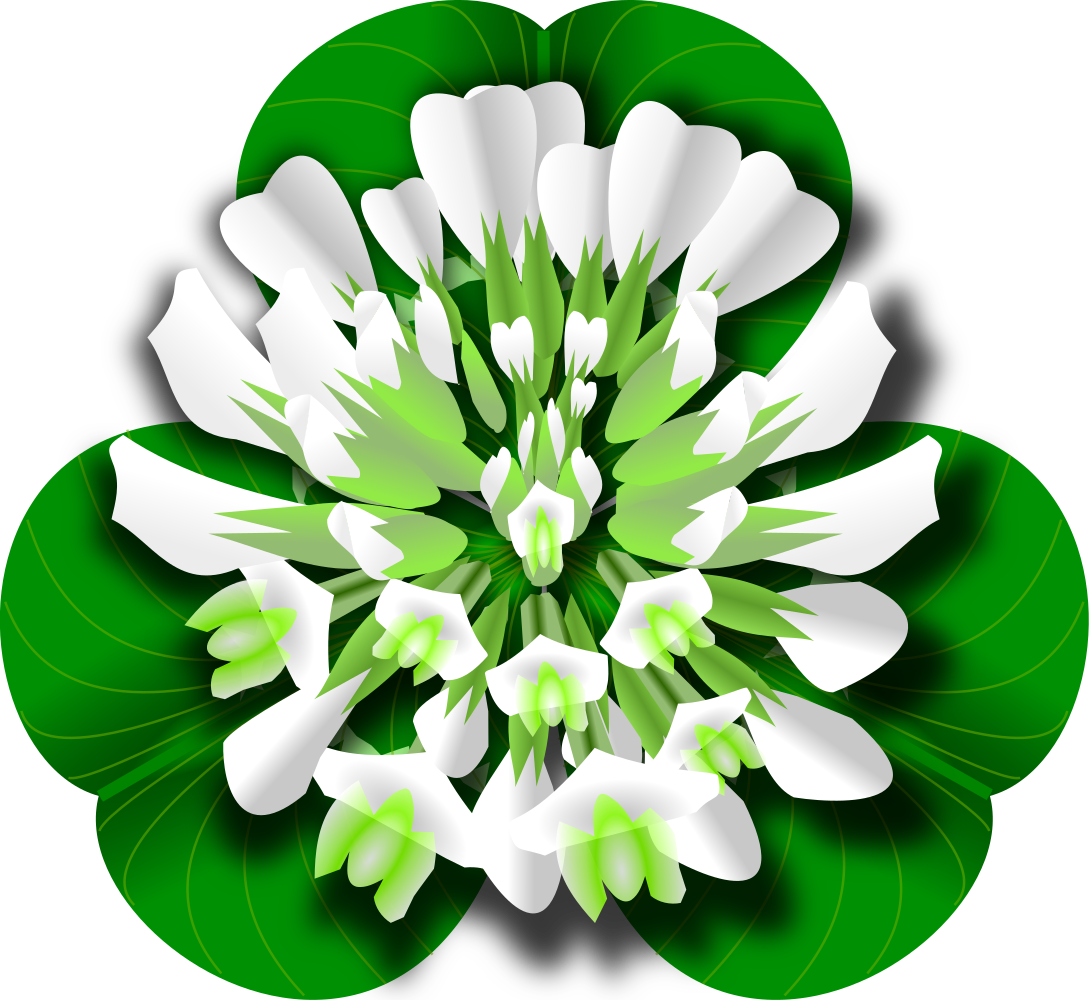 Download OnlineLabels Clip Art - White Clover Flower