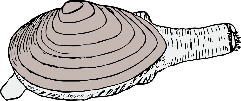 OnlineLabels Clip Art - clam