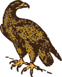 golden eagle