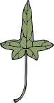 ivy leaf 9