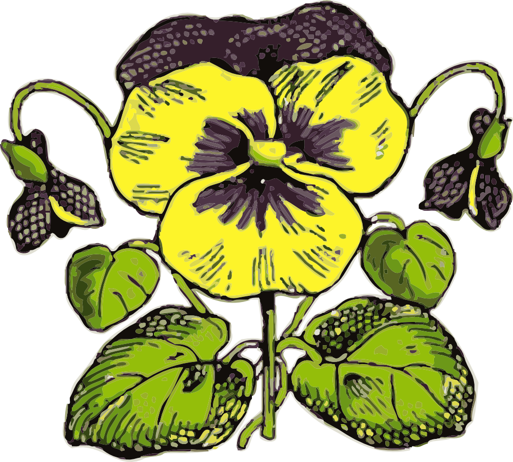 OnlineLabels Clip Art - pansy. pansy. 