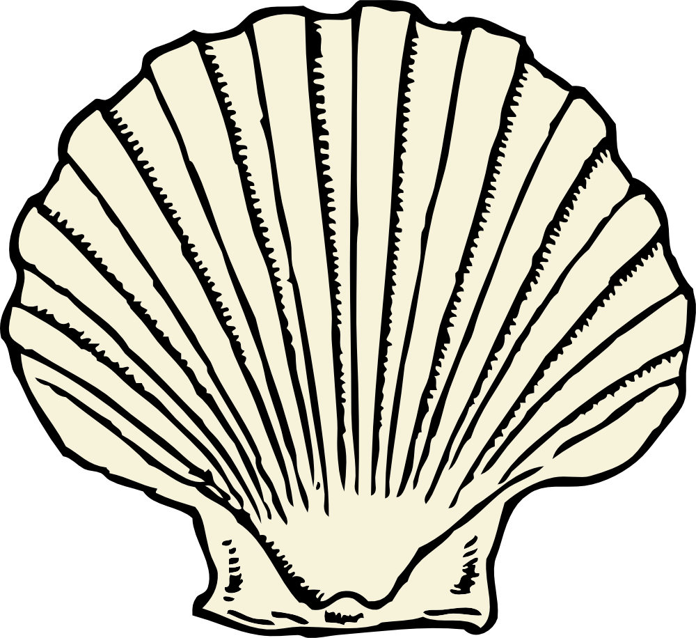 OnlineLabels Clip Art - scallop shell. scallop shell. 