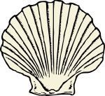 scallop shell