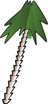 leaning palm tree