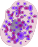 mast_cell