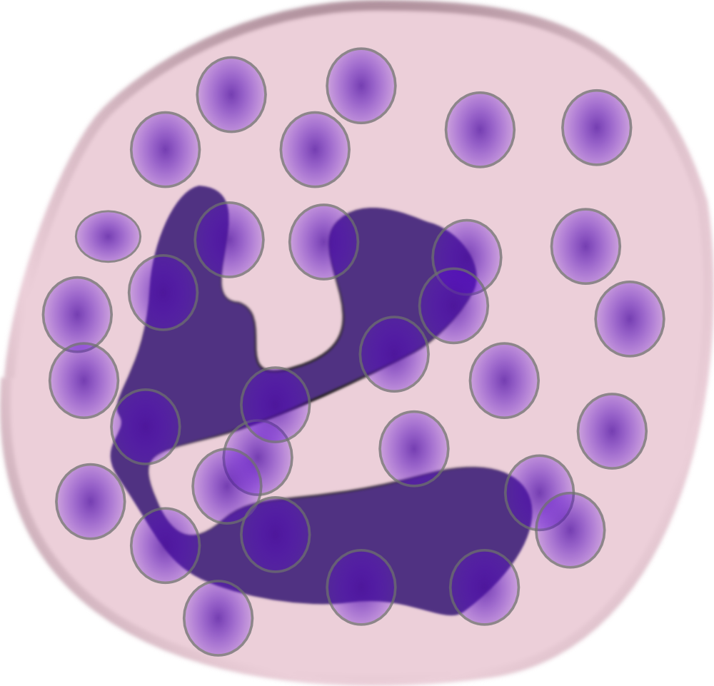 neutrophil-count-and-levels-of-mediators-in-the-balf-and-serum-or