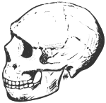 Amud skull (grayscale)