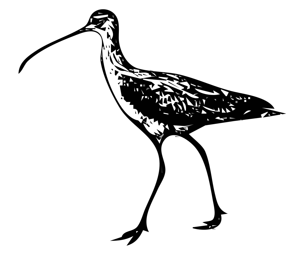 OnlineLabels Clip Art - Longbilled Curlews 1