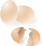 eggs