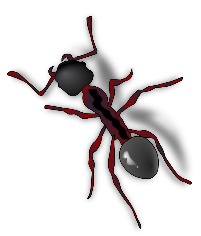 OnlineLabels Clip Art - Ant