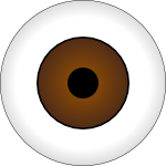 Olhos Castanhos Brown Eye