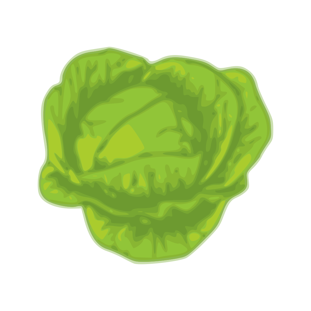 OnlineLabels Clip Art - cabbage